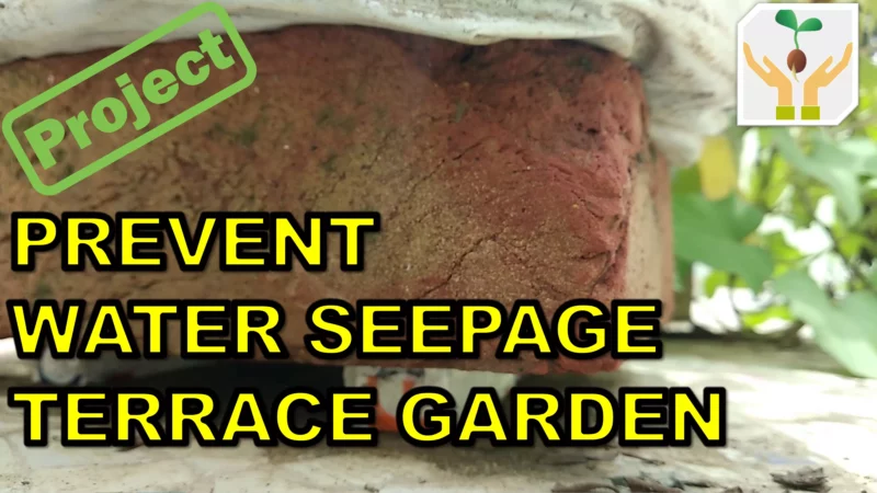 How to Prevent Water Seepage in your Terrace Garden