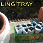 DIY Seedling Tray