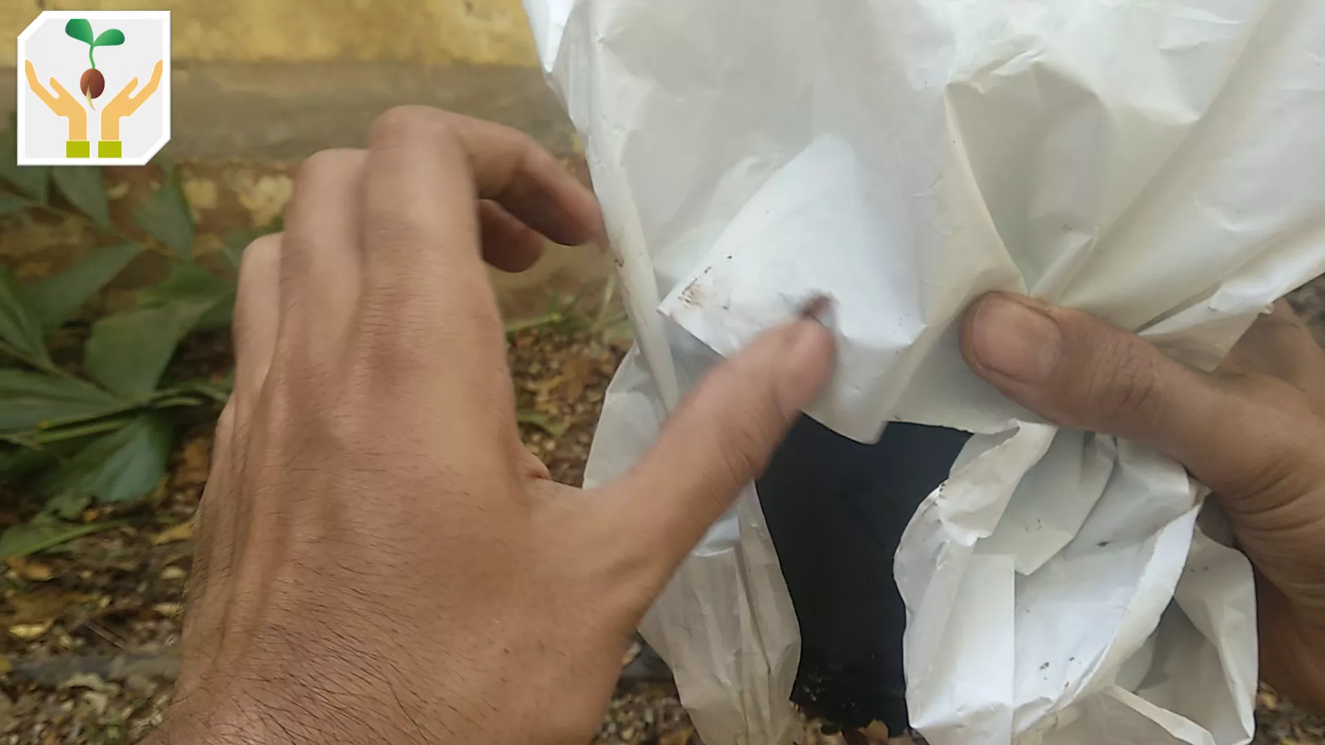 Cover the Pot With Plastic Bag From The Top