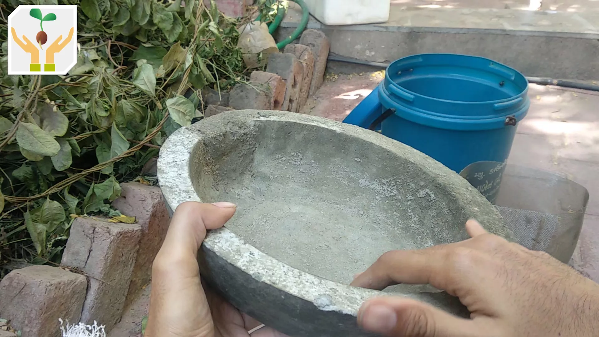 Shallow Bowl For Bottom Watering