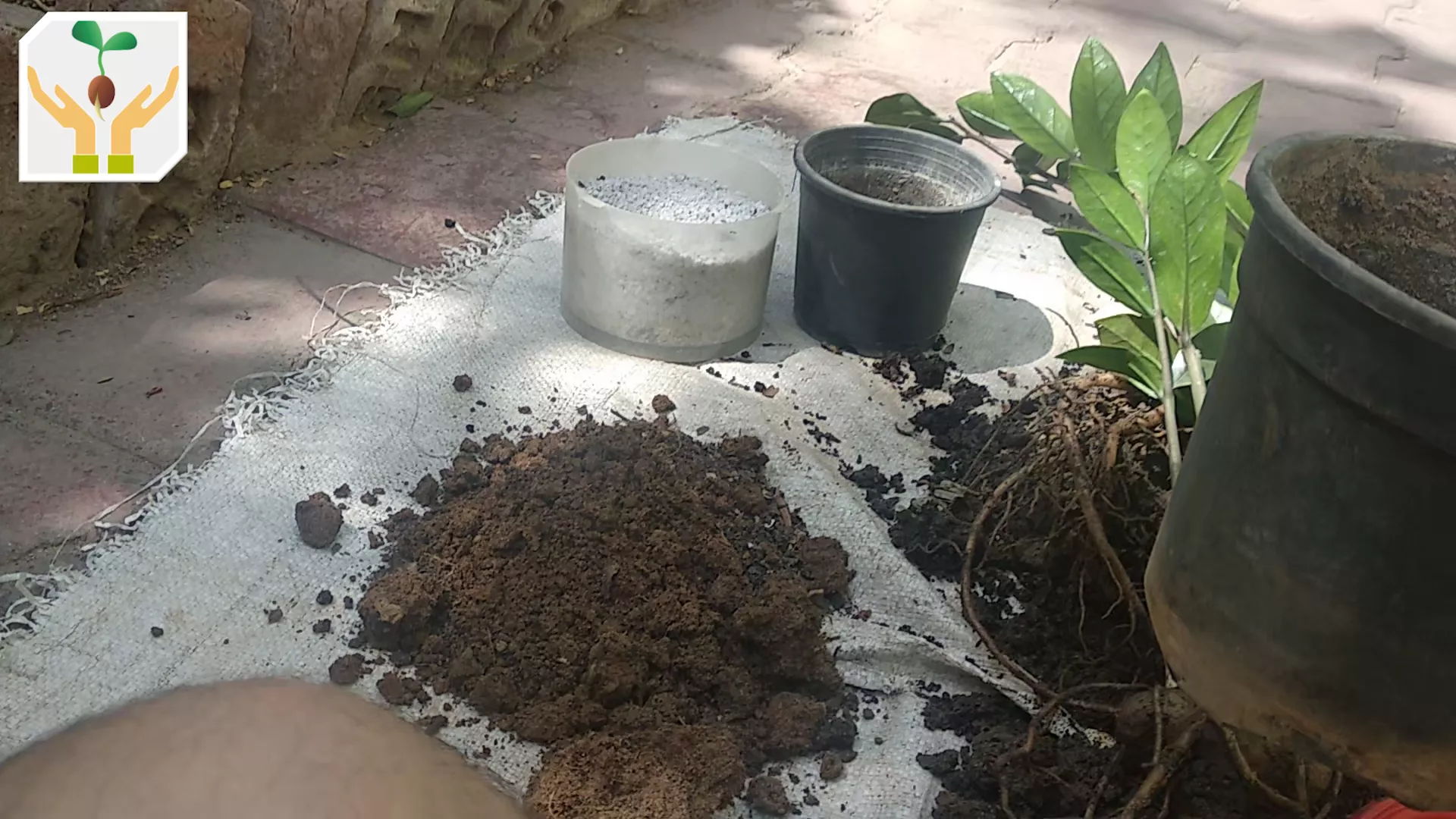 50% Garden Soil