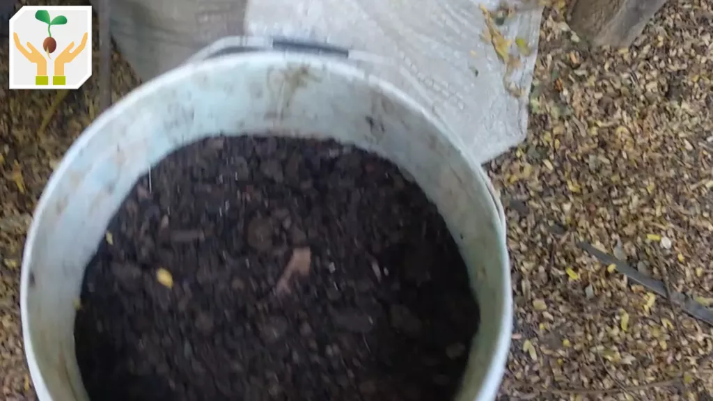 Our Backyard Compost Systems Using Plastic Chicken Mesh