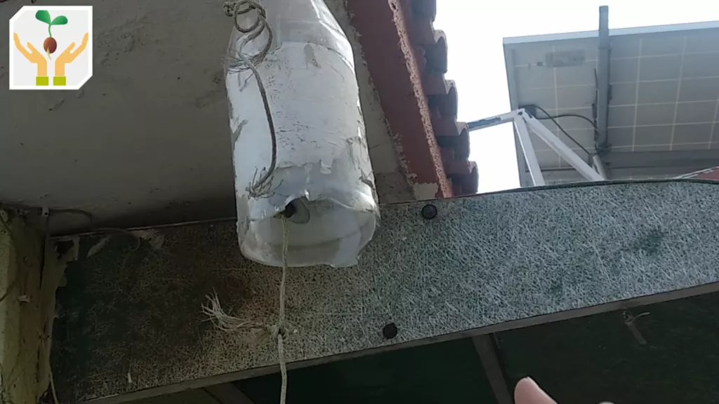 Wind Chime Using a Glass Bottle and CD to Capture Wind