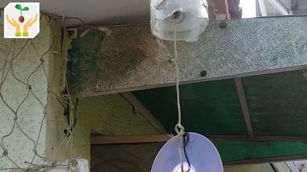 Wind Chime Using a Glass Bottle and CD to Capture Wind