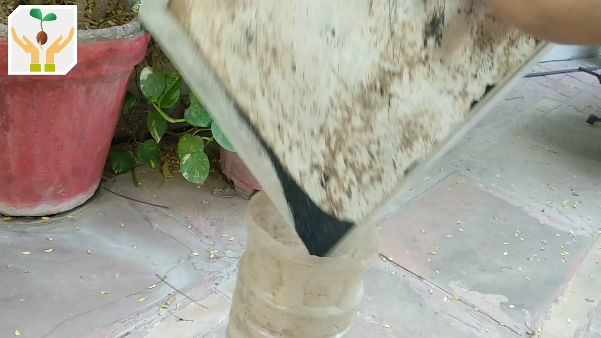 Fill Watering Can With Ash Using Funnel