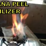 How to make banana peel fertilizer