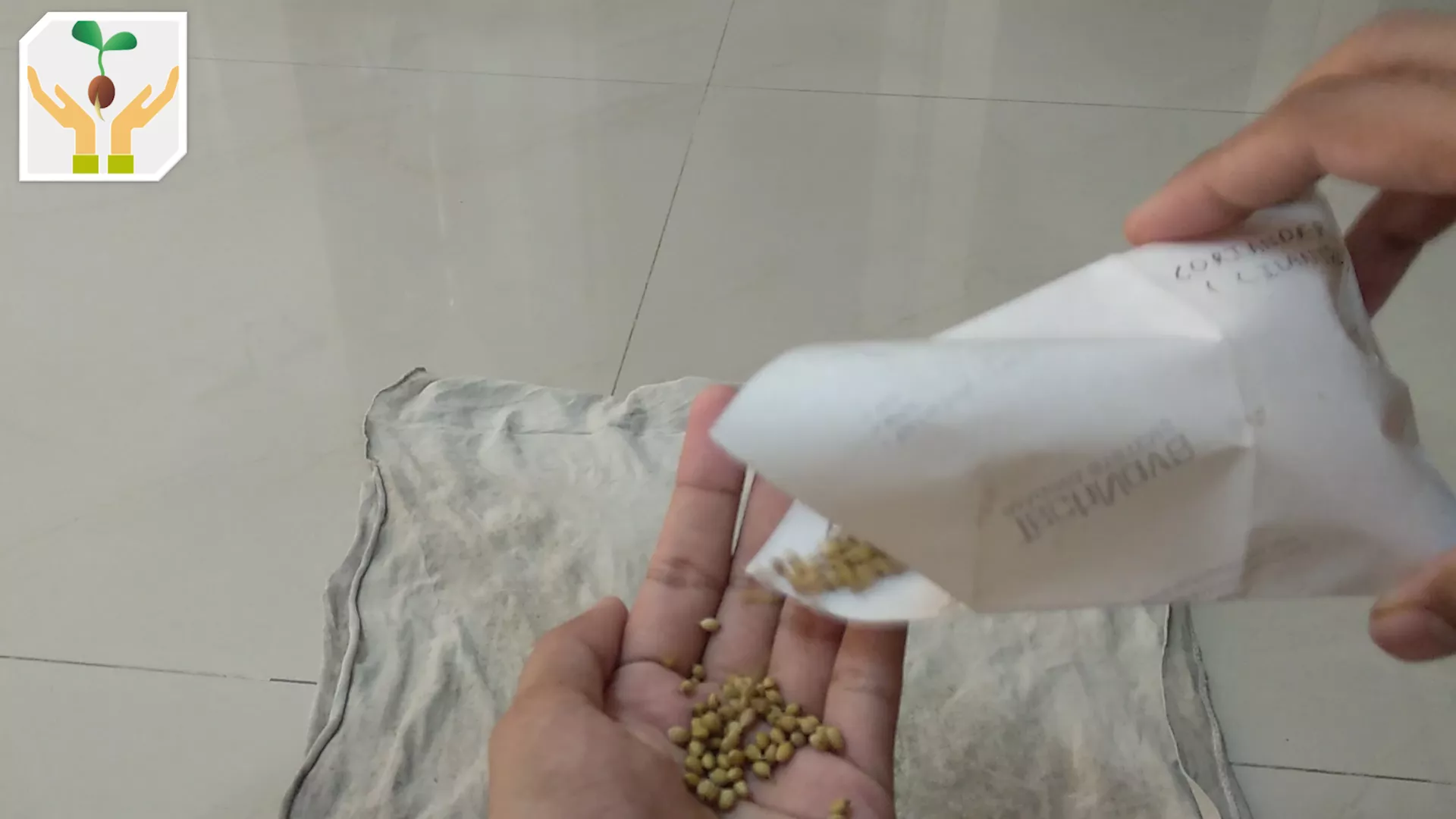 Take Out Seed from Seed Packet