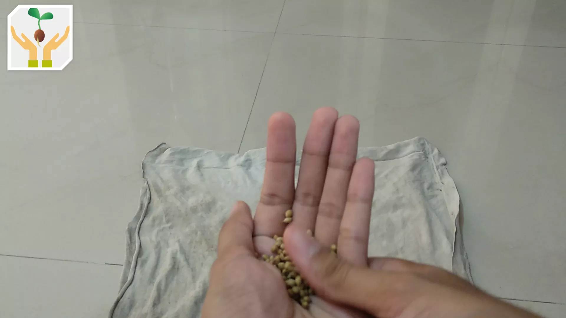 Rub Seeds Between Your Thumb and Palm