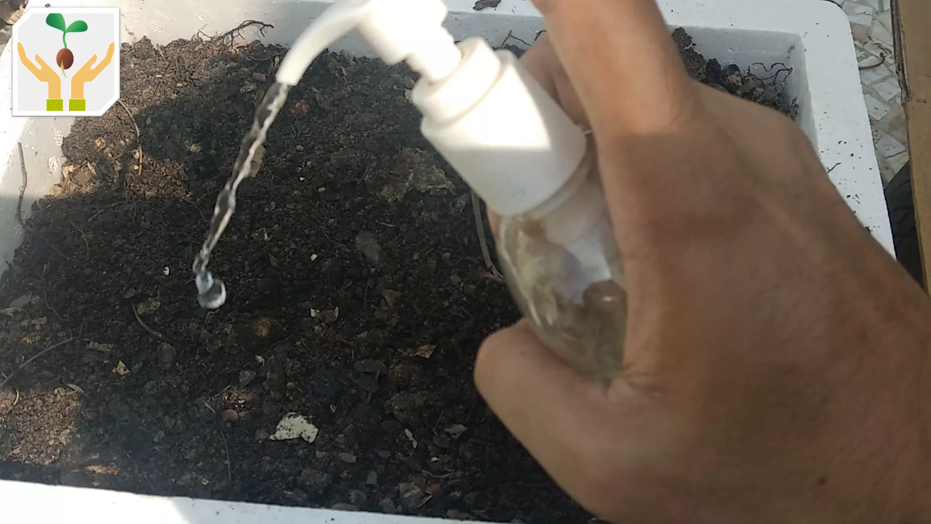 Using a Sprayer Water The Pot