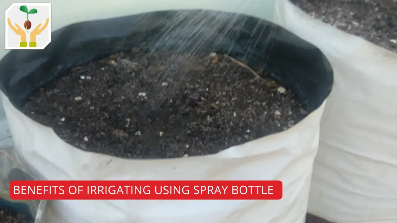 Benefits Of Irrigating using Spray Bottle