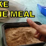 How to Make Bone Meal