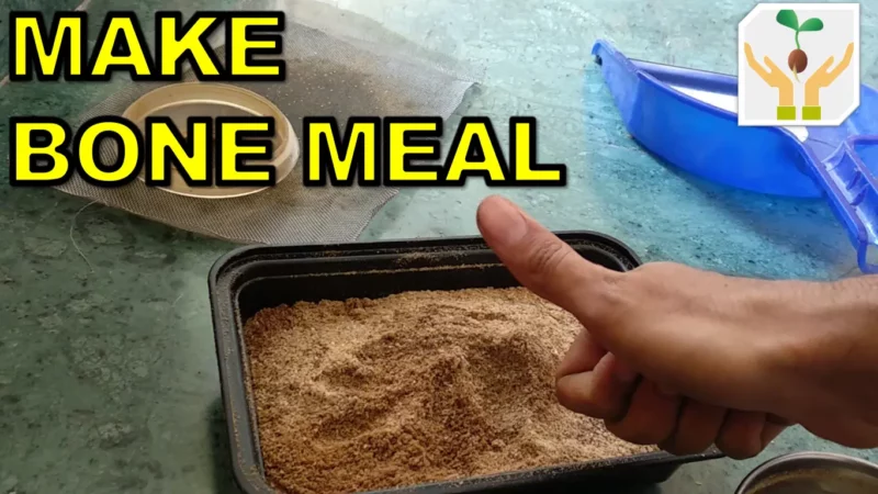 How to Make Bone Meal at Home