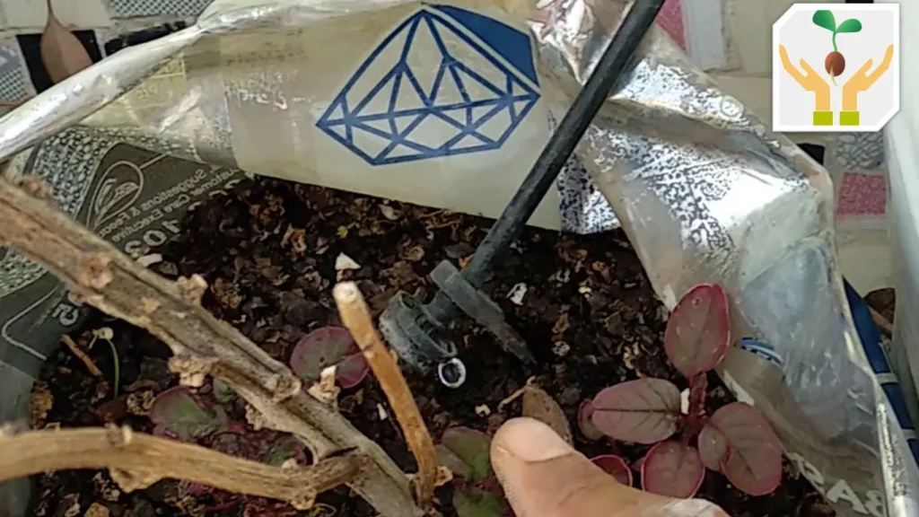 How to Install A Drip Irrigation System