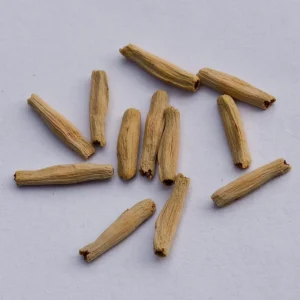 Adenium Seeds