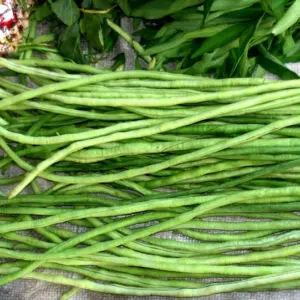 Yard long beans (marketed)